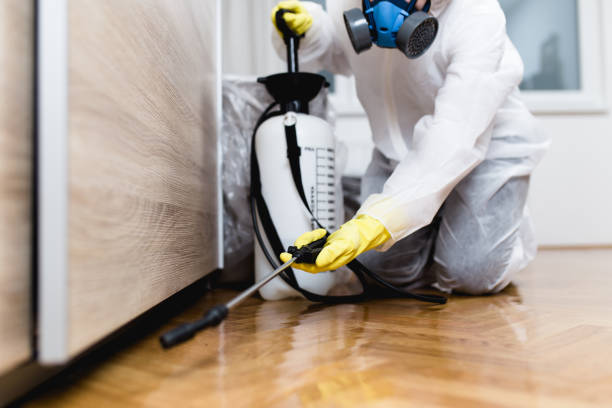 Best Mosquito Control Services  in Keshena, WI