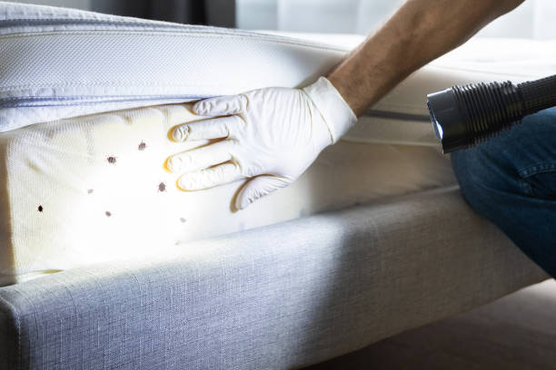 Trusted Keshena, WI Pest Control Experts